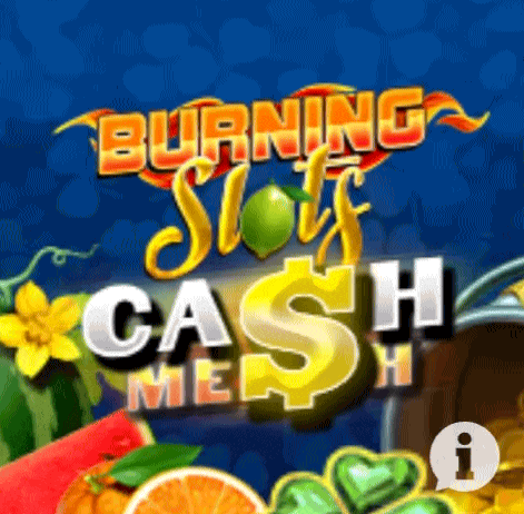 Play Burning Slots in Spin Castle Casino